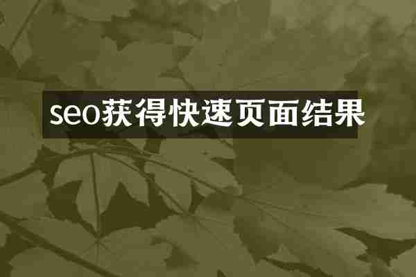 seo获得快速页面结果