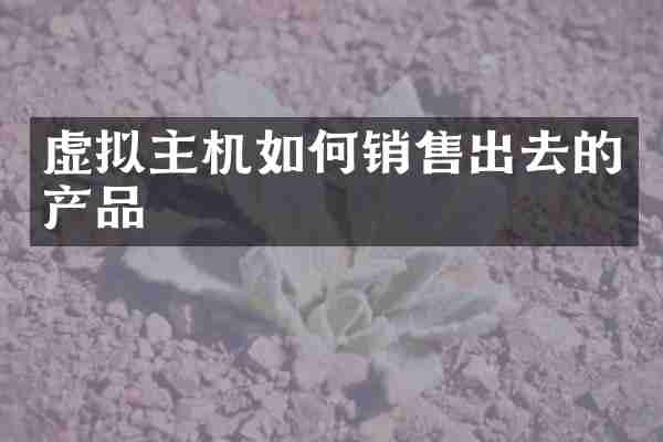 虚拟主机如何销售出去的产品