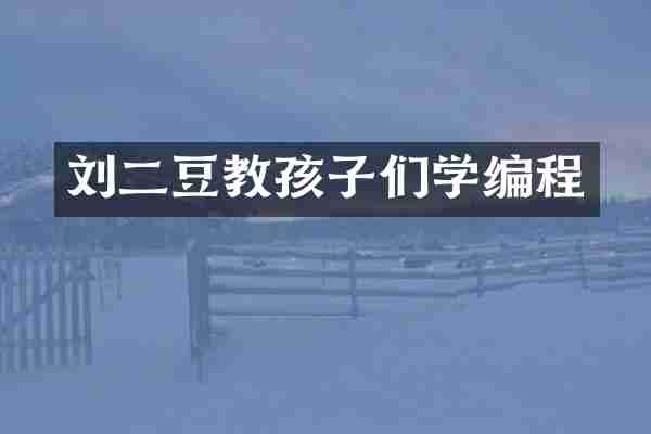 刘二豆教孩子们学编程