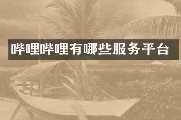 哔哩哔哩有哪些服务平台