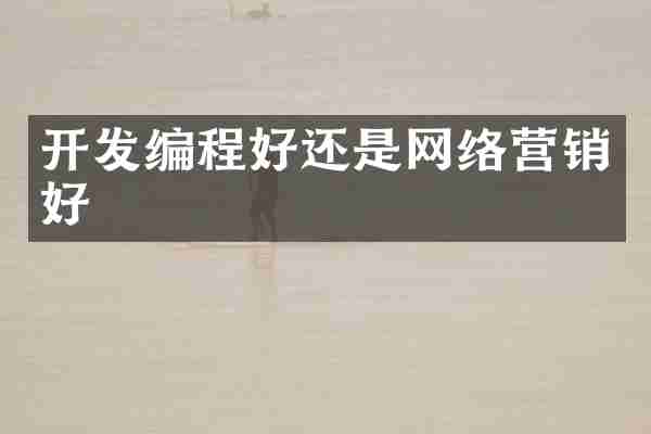 开发编程好还是网络营销好