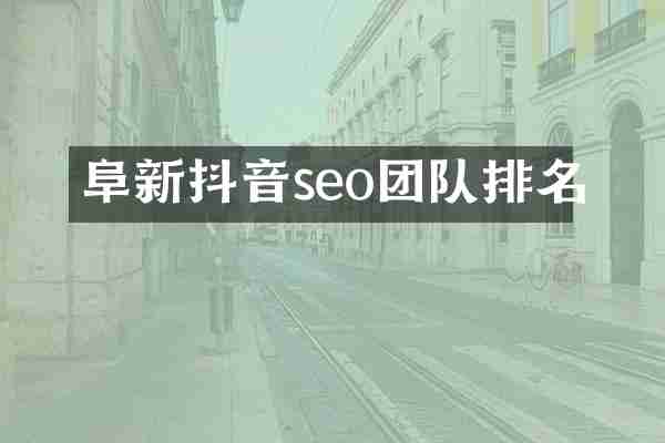 阜新抖音seo团队排名