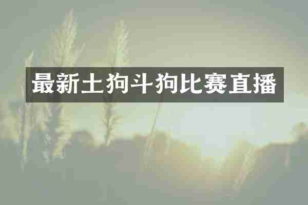 最新土狗斗狗比赛直播