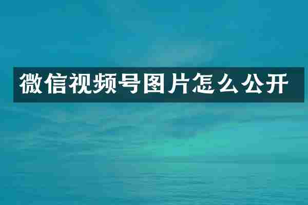 微信视频号图片怎么公开