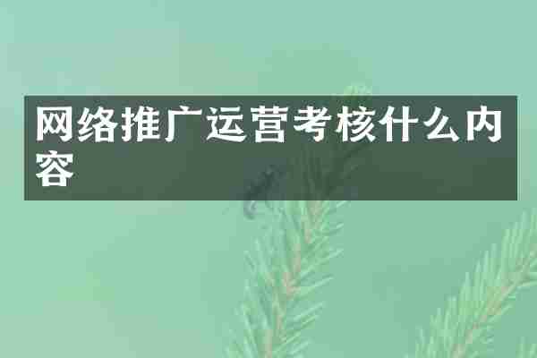 网络推广运营考核什么内容
