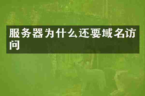 服务器为什么还要域名访问