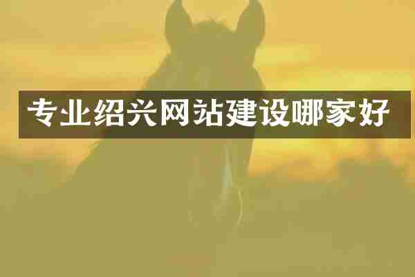 专业绍兴网站建设哪家好