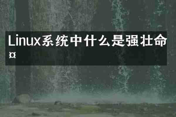 Linux系统中什么是强壮命令