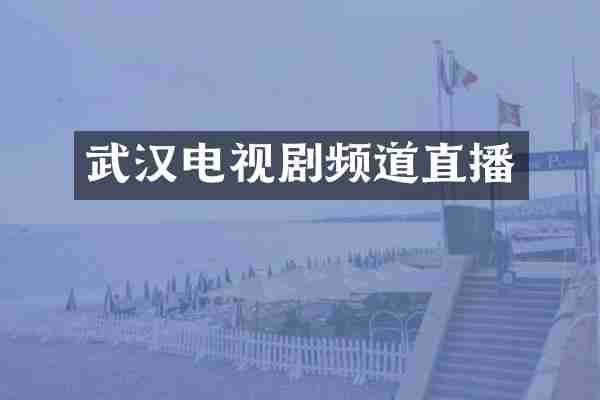 武汉电视剧频道直播