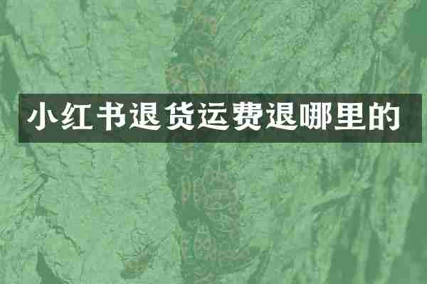 小红书退货运费退哪里的