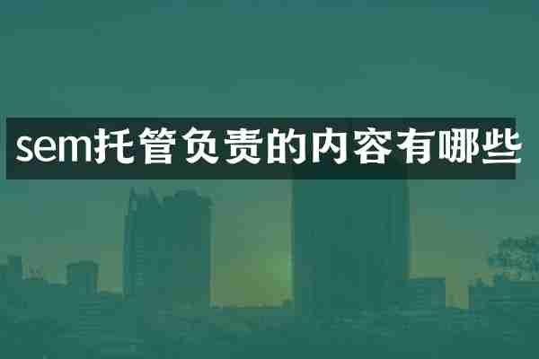 sem托管负责的内容有哪些