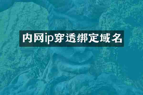 内网ip穿透绑定域名