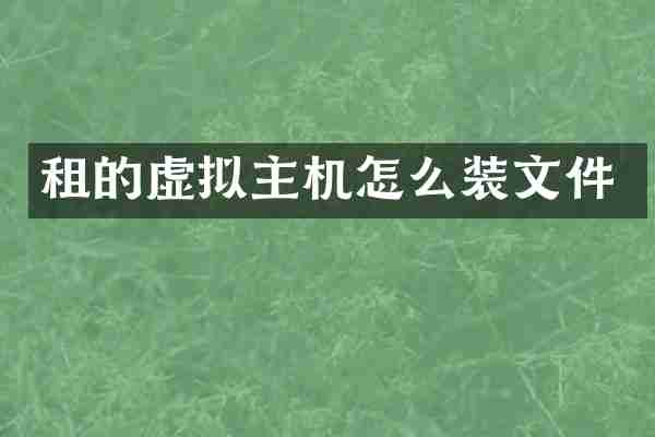 租的虚拟主机怎么装文件