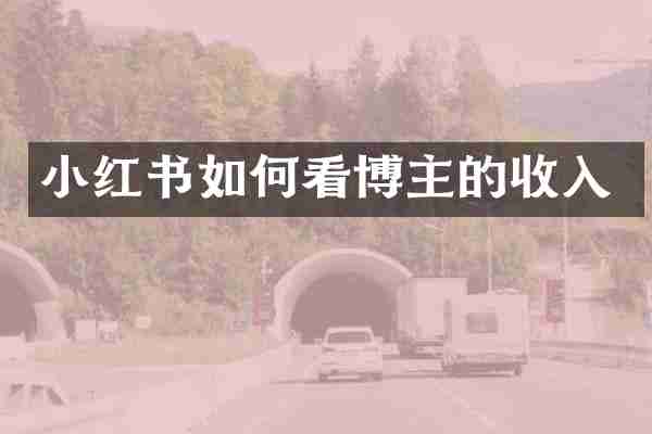 小红书如何看博主的收入