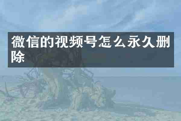 微信的视频号怎么永久删除