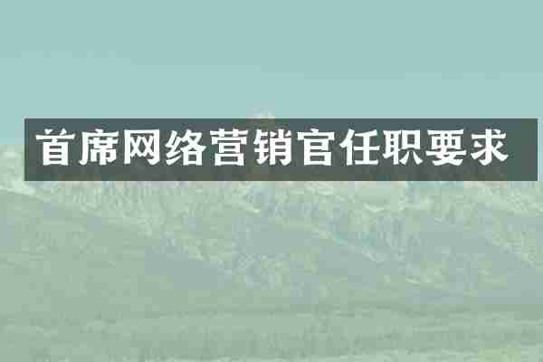 首席网络营销官任职要求