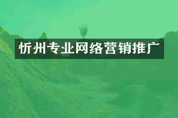 忻州专业网络营销推广