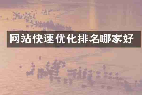 网站快速优化排名哪家好