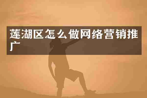 莲湖区怎么做网络营销推广