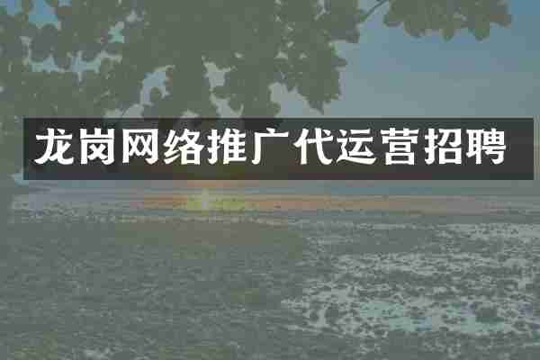 龙岗网络推广代运营招聘