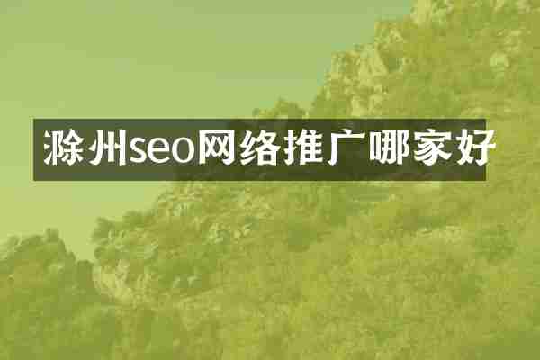 滁州seo网络推广哪家好