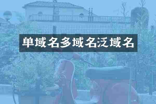 单域名多域名泛域名