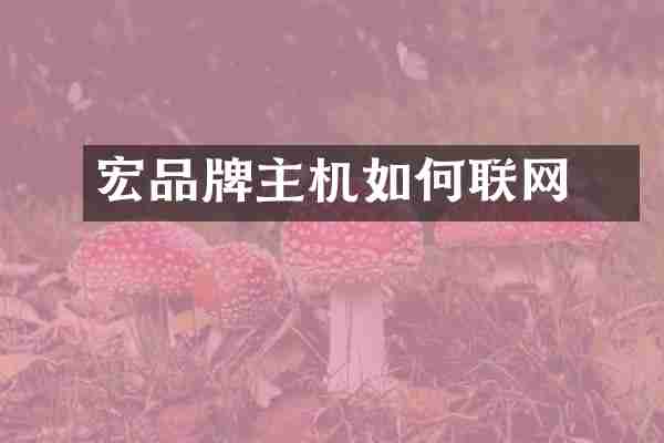 宏碁品牌主机如何联网