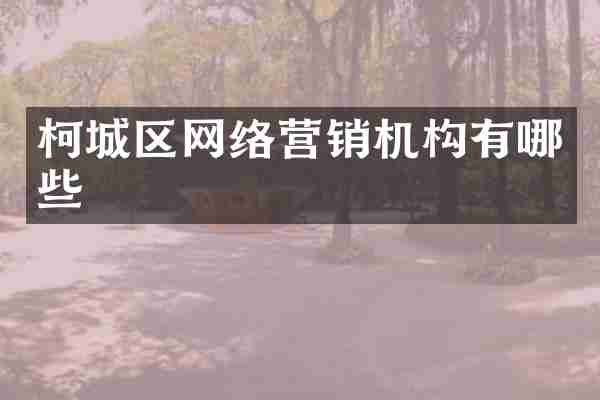柯城区网络营销机构有哪些
