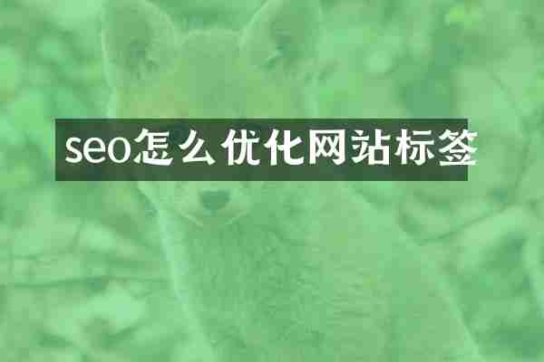 seo怎么优化网站标签
