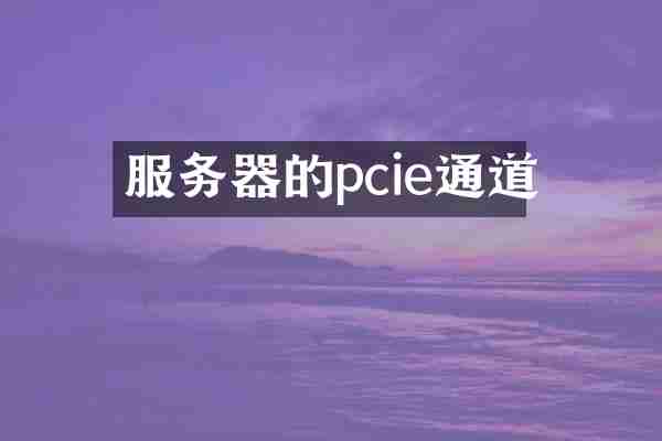 服务器的pcie通道