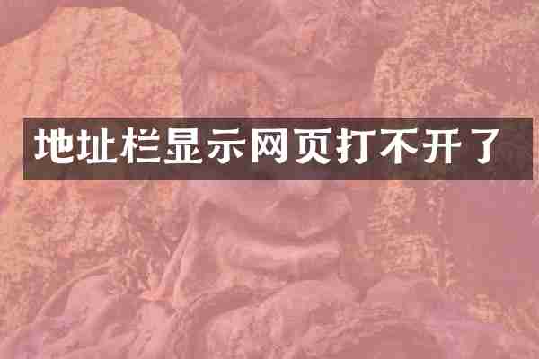 地址栏显示网页打不开了
