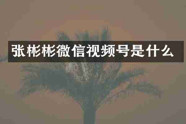 张彬彬微信视频号是什么