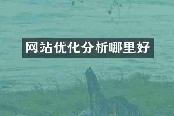 网站优化分析哪里好
