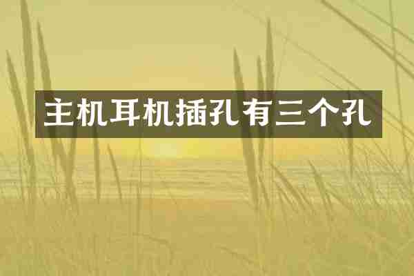 主机耳机插孔有三个孔