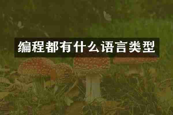 编程都有什么语言类型