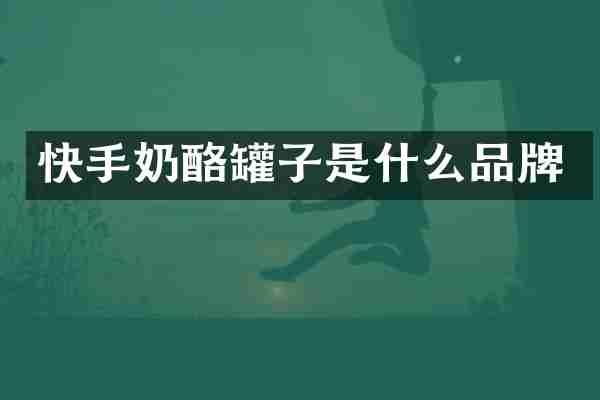 快手奶酪罐子是什么品牌