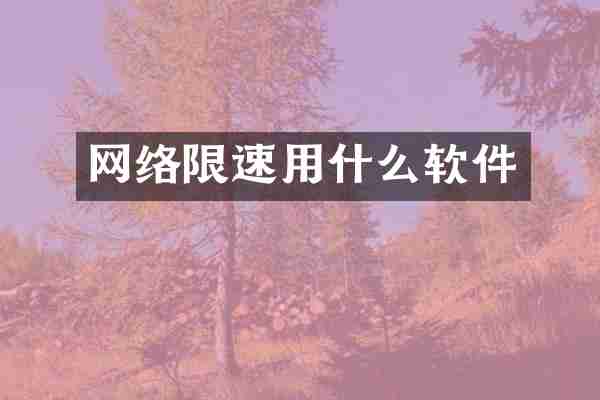 网络限速用什么软件
