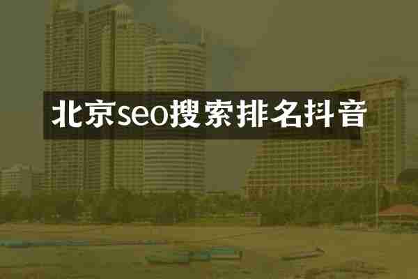 北京seo搜索排名抖音