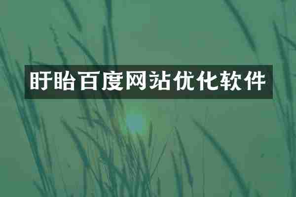 盱眙百度网站优化软件
