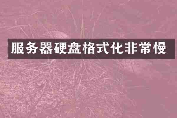 服务器硬盘格式化非常慢