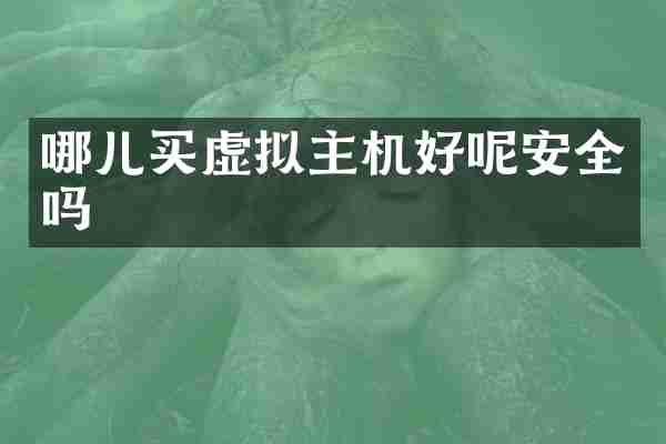 哪儿买虚拟主机好呢安全吗