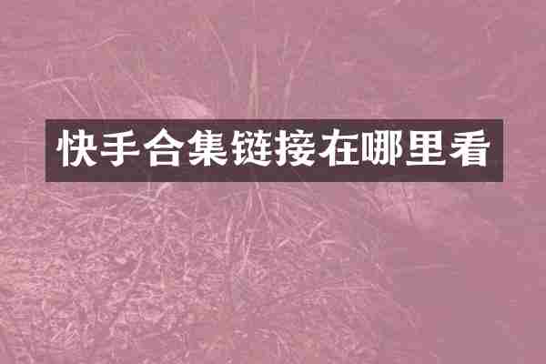 快手合集链接在哪里看