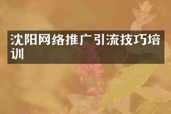 沈阳网络推广引流技巧培训