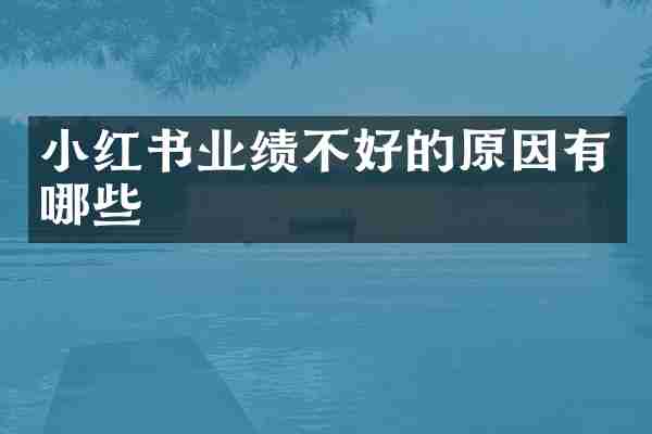 小红书业绩不好的原因有哪些