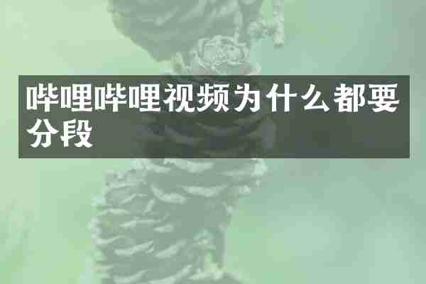 哔哩哔哩视频为什么都要分段