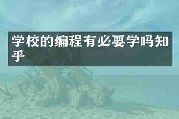 学校的编程有必要学吗知乎
