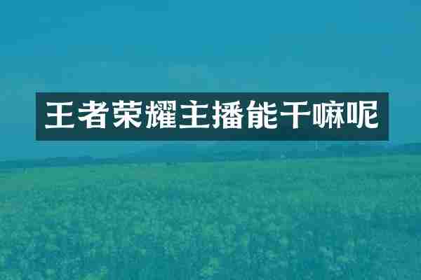 王者荣耀主播能干嘛呢