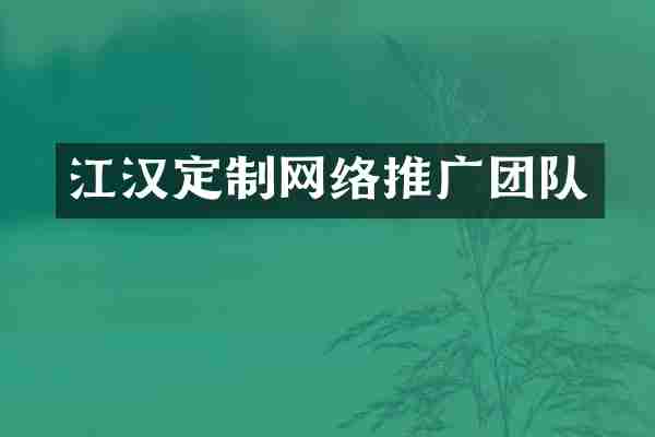 江汉定制网络推广团队