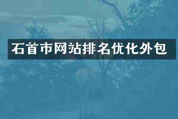 石首市网站排名优化外包