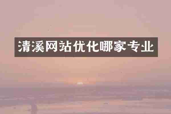 清溪网站优化哪家专业